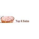Top 6 Salze